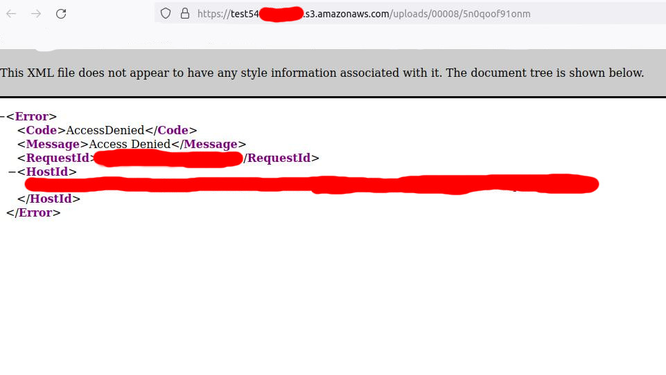AMAZON.jpg